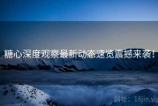 糖心深度观察最新动态速览震撼来袭！