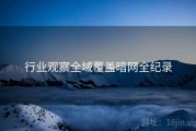 行业观察全域覆盖暗网全纪录
