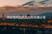 揭秘暗网趋势风向标收藏必看