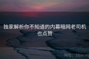 独家解析你不知道的内幕暗网老司机也点赞