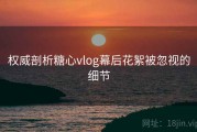 权威剖析糖心vlog幕后花絮被忽视的细节