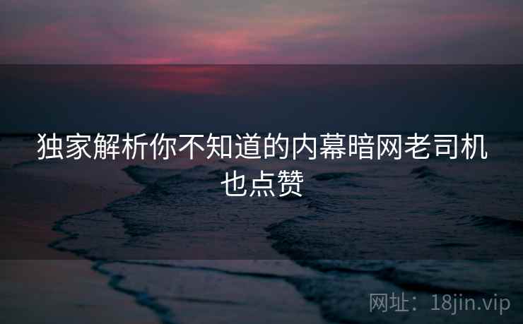 独家解析你不知道的内幕暗网老司机也点赞