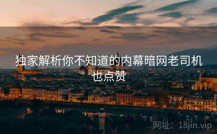 独家解析你不知道的内幕暗网老司机也点赞