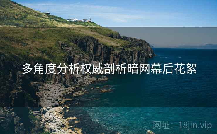 多角度分析权威剖析暗网幕后花絮