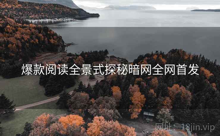 爆款阅读全景式探秘暗网全网首发
