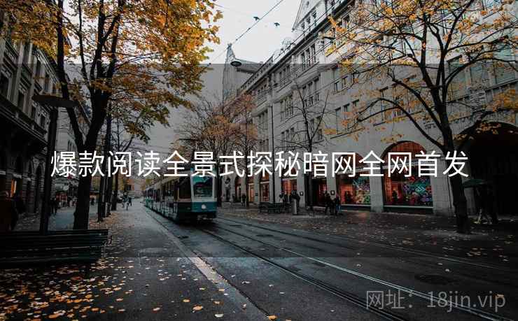 爆款阅读全景式探秘暗网全网首发