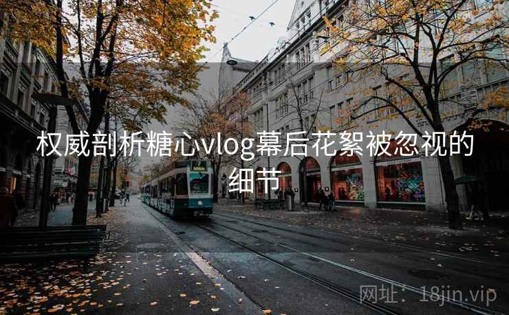 权威剖析糖心vlog幕后花絮被忽视的细节