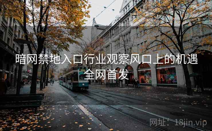 暗网禁地入口行业观察风口上的机遇全网首发