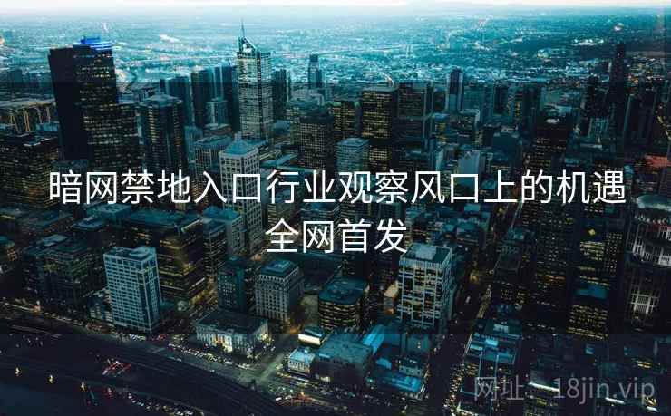 暗网禁地入口行业观察风口上的机遇全网首发
