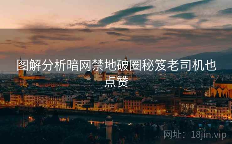 图解分析暗网禁地破圈秘笈老司机也点赞