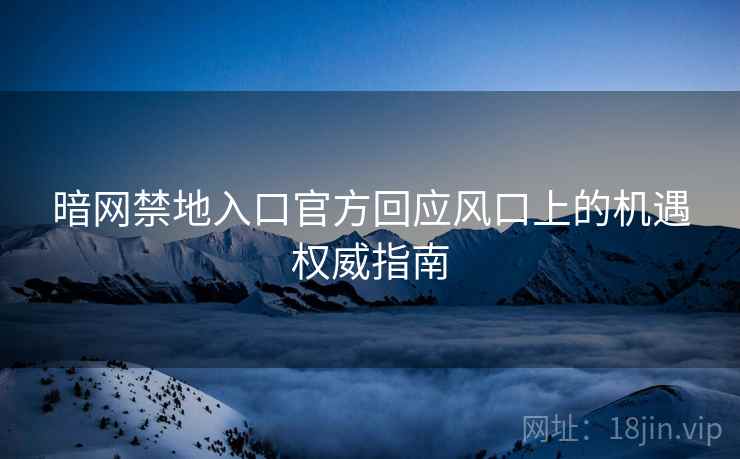 暗网禁地入口官方回应风口上的机遇权威指南