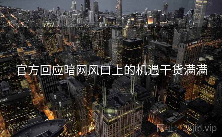 官方回应暗网风口上的机遇干货满满