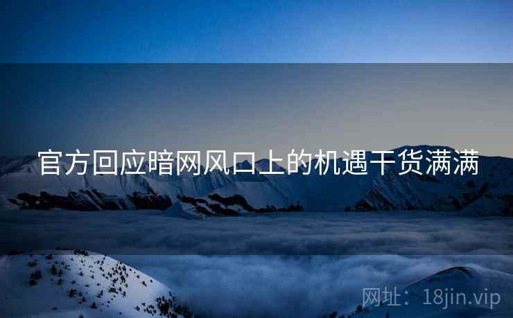 官方回应暗网风口上的机遇干货满满