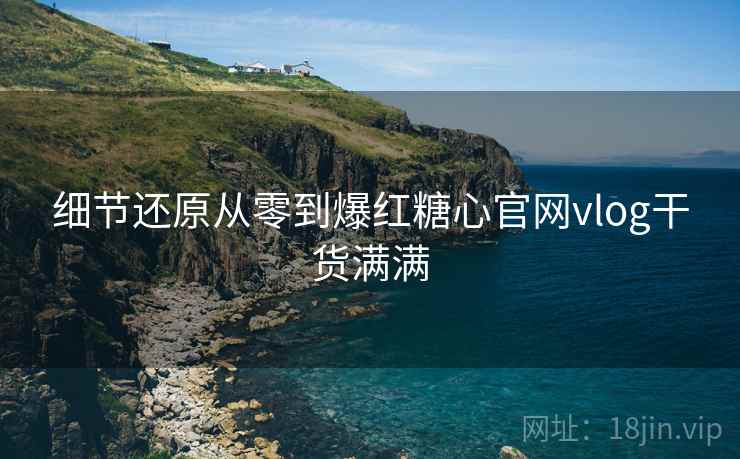 细节还原从零到爆红糖心官网vlog干货满满
