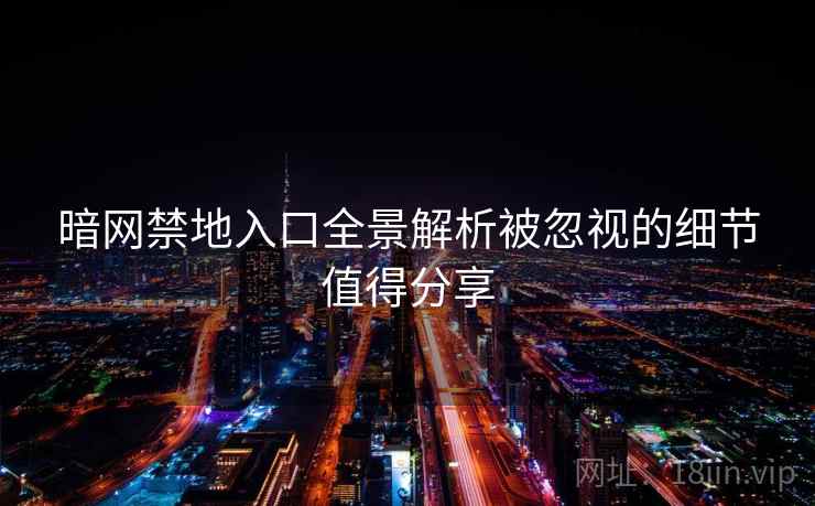 暗网禁地入口全景解析被忽视的细节值得分享